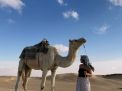 Camel Riding