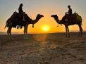 Camel Riding