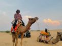 Camel Riding