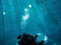 Diving