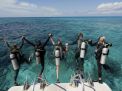 Diving
