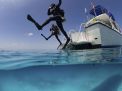 Diving