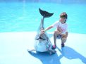 Dolphin Photo Session