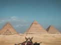 Full Day From Hurghada to Cairo By Bus
