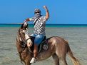 Horse Riding