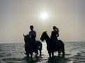 Horse Riding