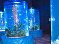 Hurghada Grand Aquarium
