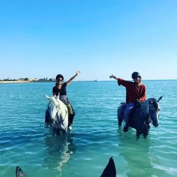Horse Riding