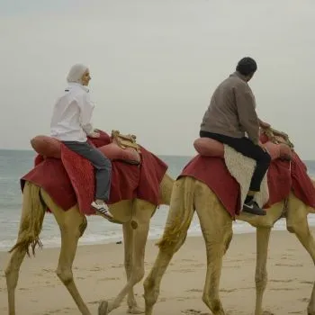 Camel Riding