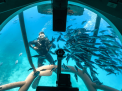 Sindbad Submarine 3-Hour Tour
