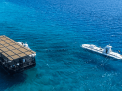 Sindbad Submarine 3-Hour Tour