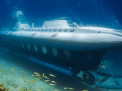 Sindbad Submarine 3-Hour Tour