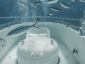 Sindbad Submarine 3-Hour Tour