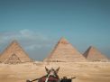Vip Cairo
