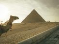 Vip Cairo
